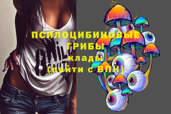 прущие крисы Каменногорск