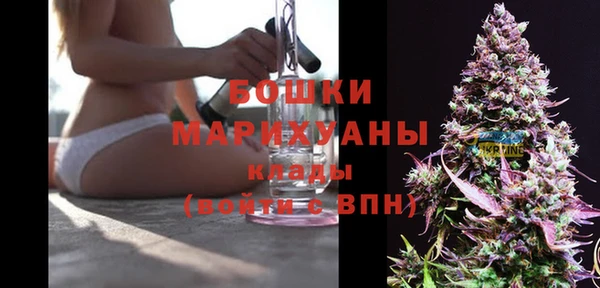 твердый Зуевка
